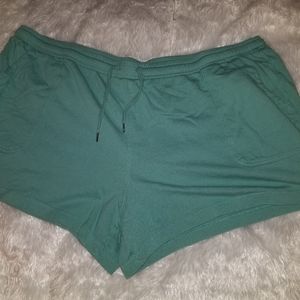 Terra & Sky Plus Size Shorts  Size 4x (28/30) AQUA